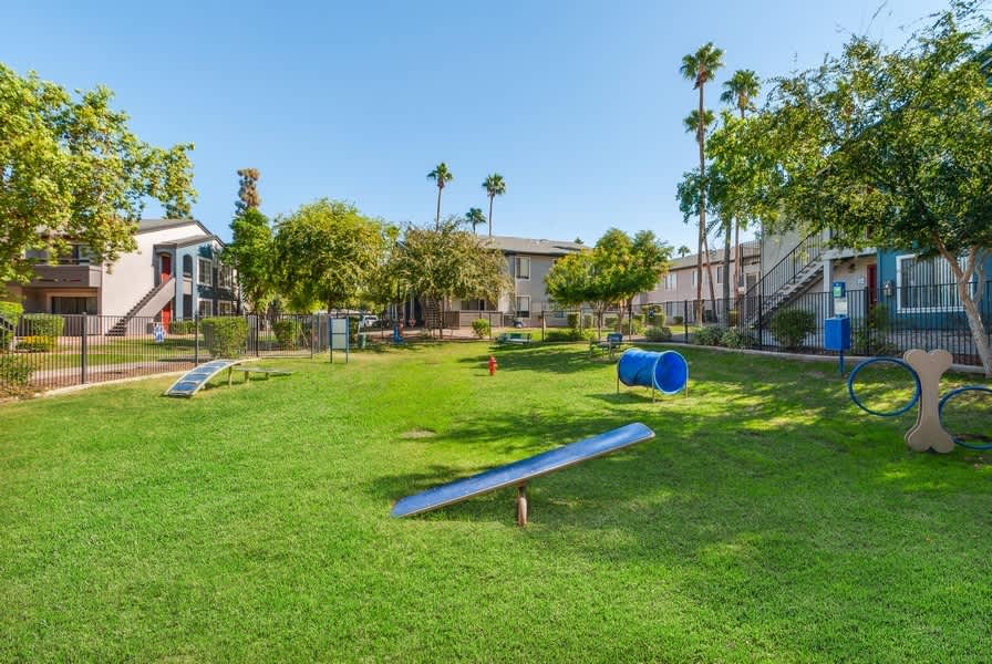 Dog park at Palms at South Mountain (2 of 2)