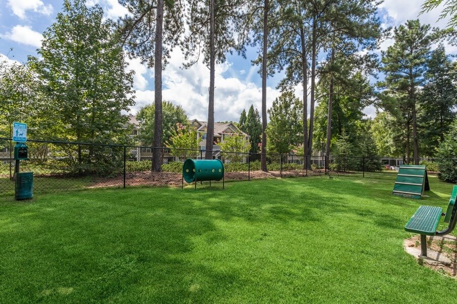 Dog park at Shadow Ridge (2 of 2)