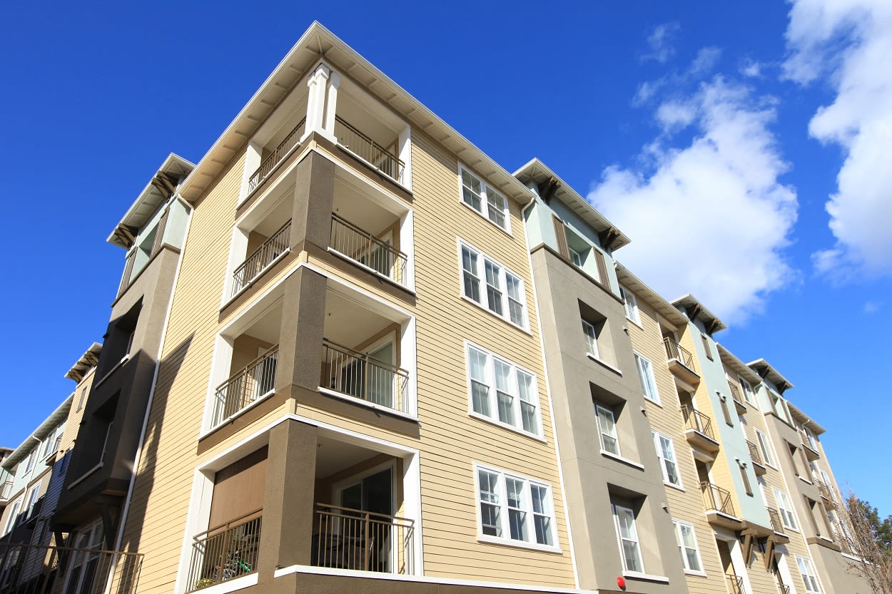 Walnut Creek Ca Apartments For Rent Home Ivy Hill