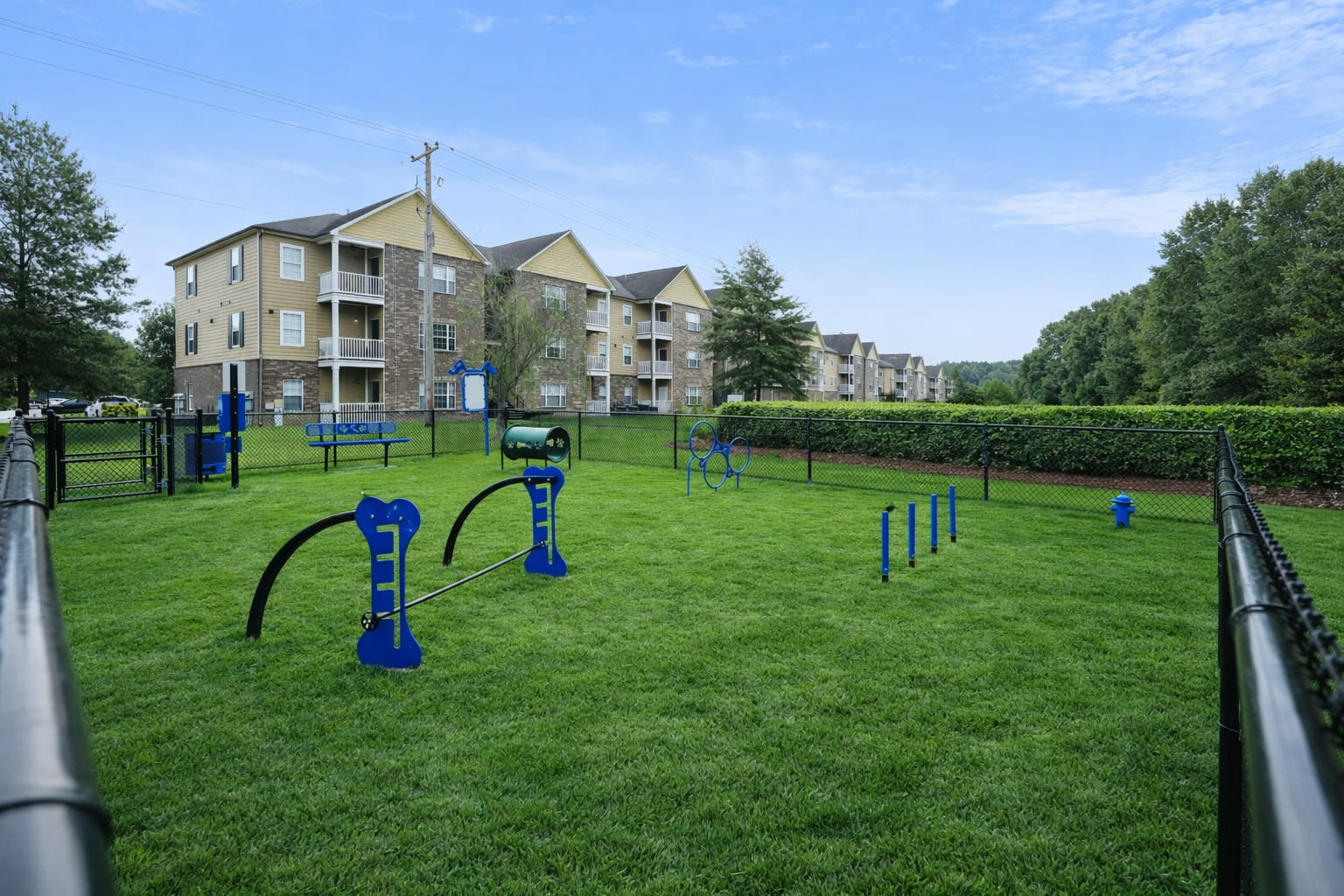 Dog park at The Orleans at Walnut Grove (2 of 2)