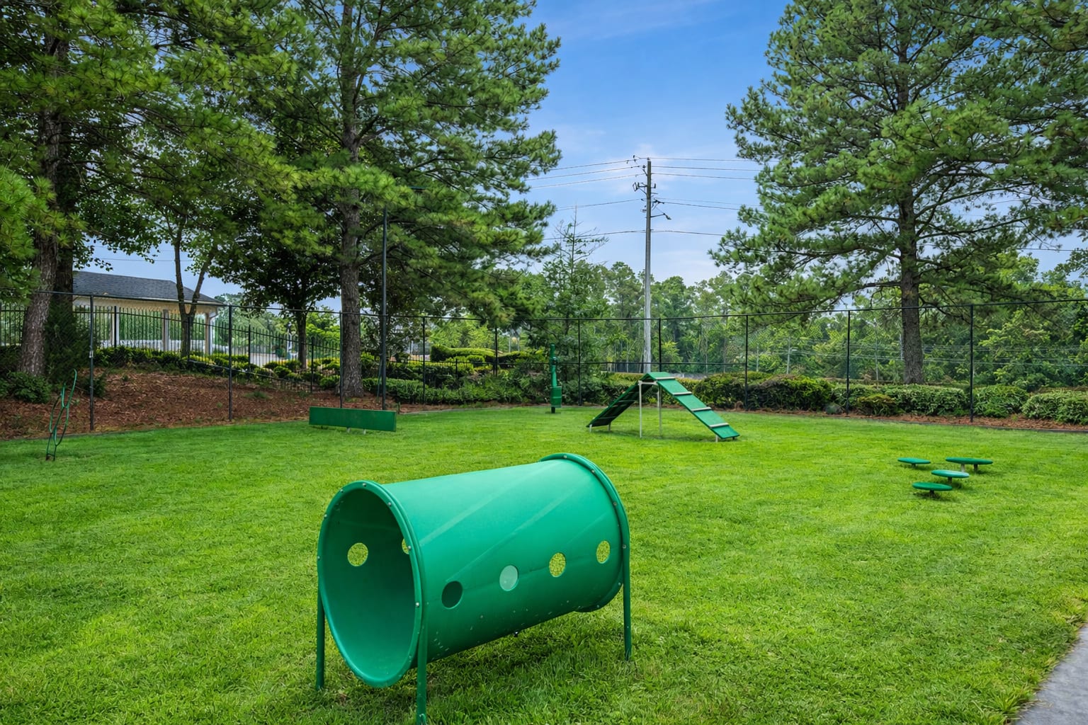 Dog park at Lexington on the Green
