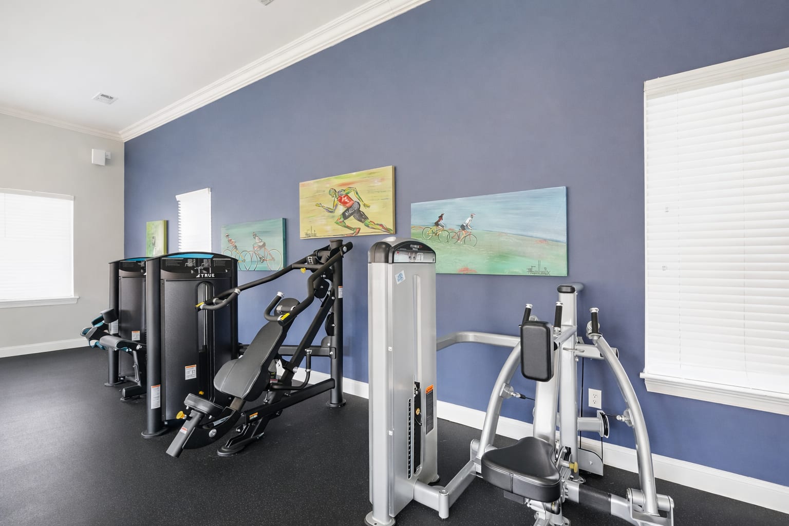 Gym at The Orleans at Walnut Grove (2 of 3)