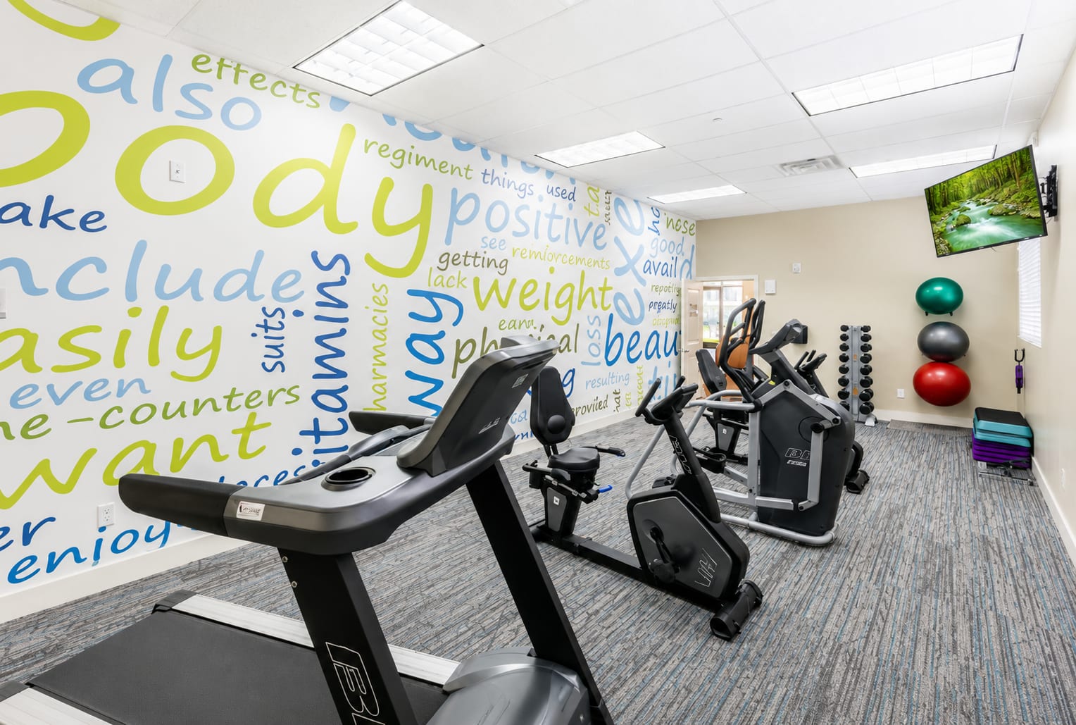 Gym at The Ellison