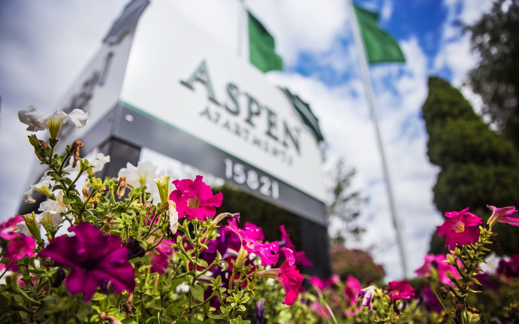 Aspen Apartments In Spokane Valley Wa