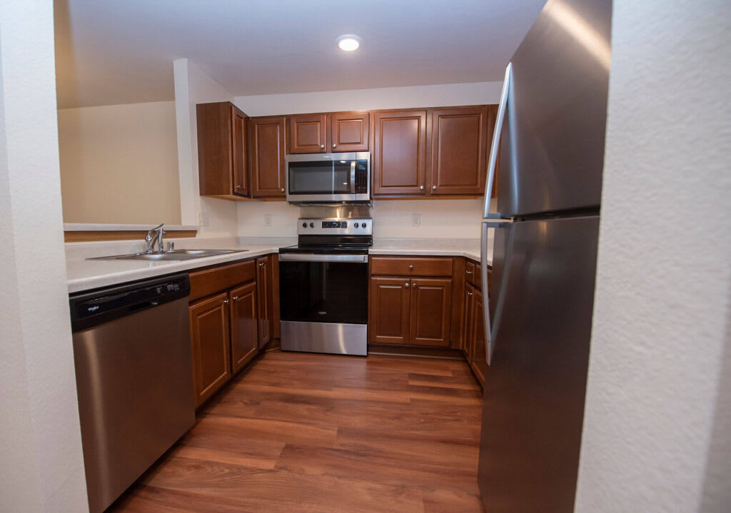 Renovated Kitchen