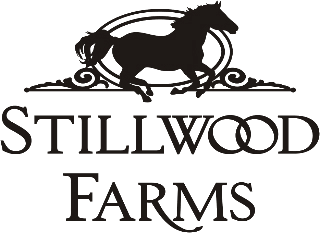Stillwood Farms Apartments at Newnan logo - Newnan, GA
