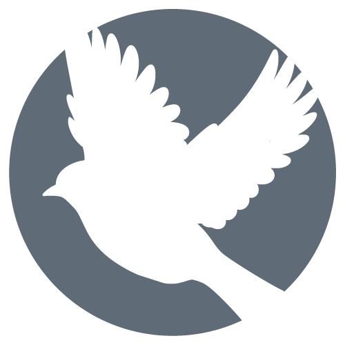A white dove in flight is centered in a circle.