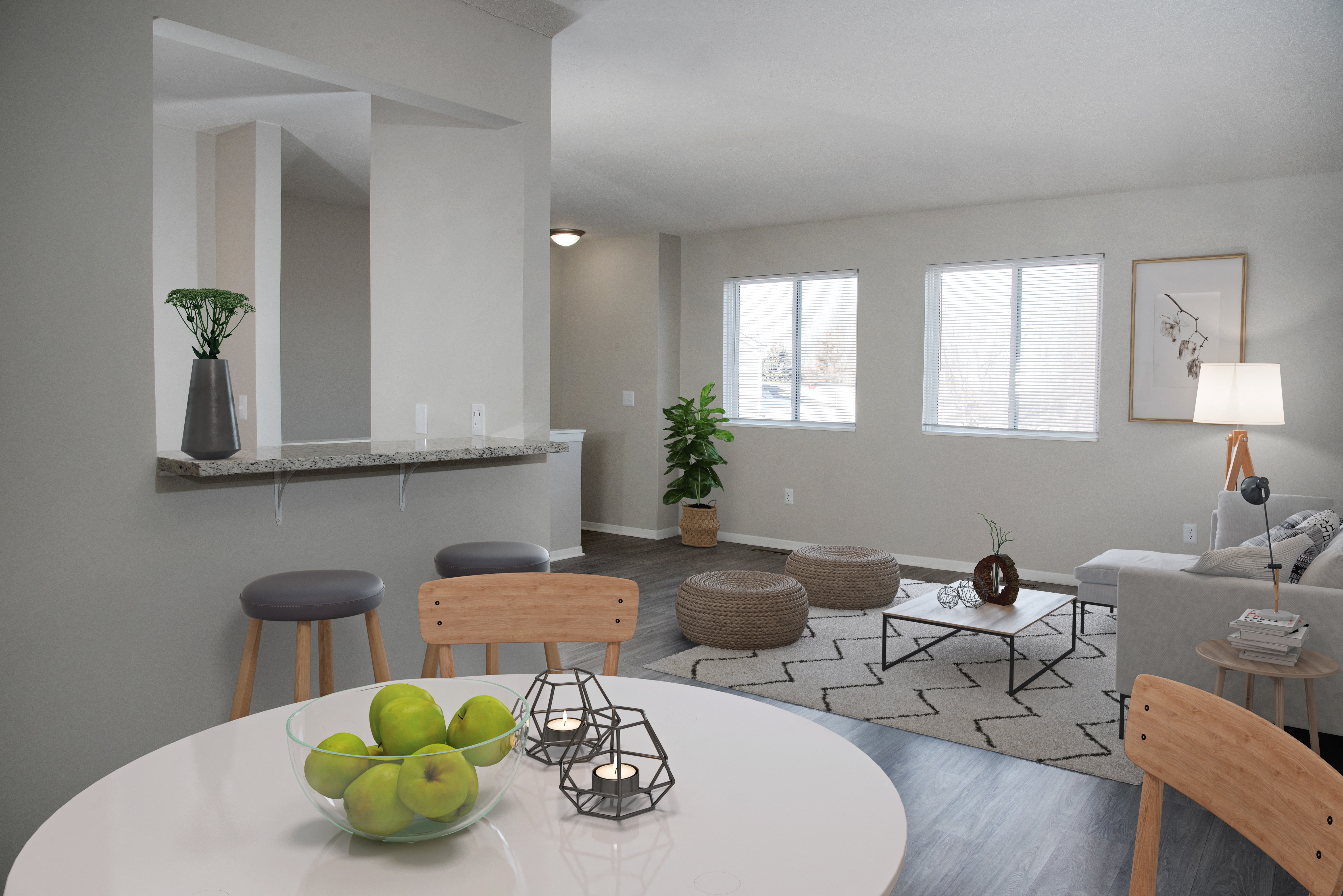 SouthFork Townhomes Flats 2 of 12