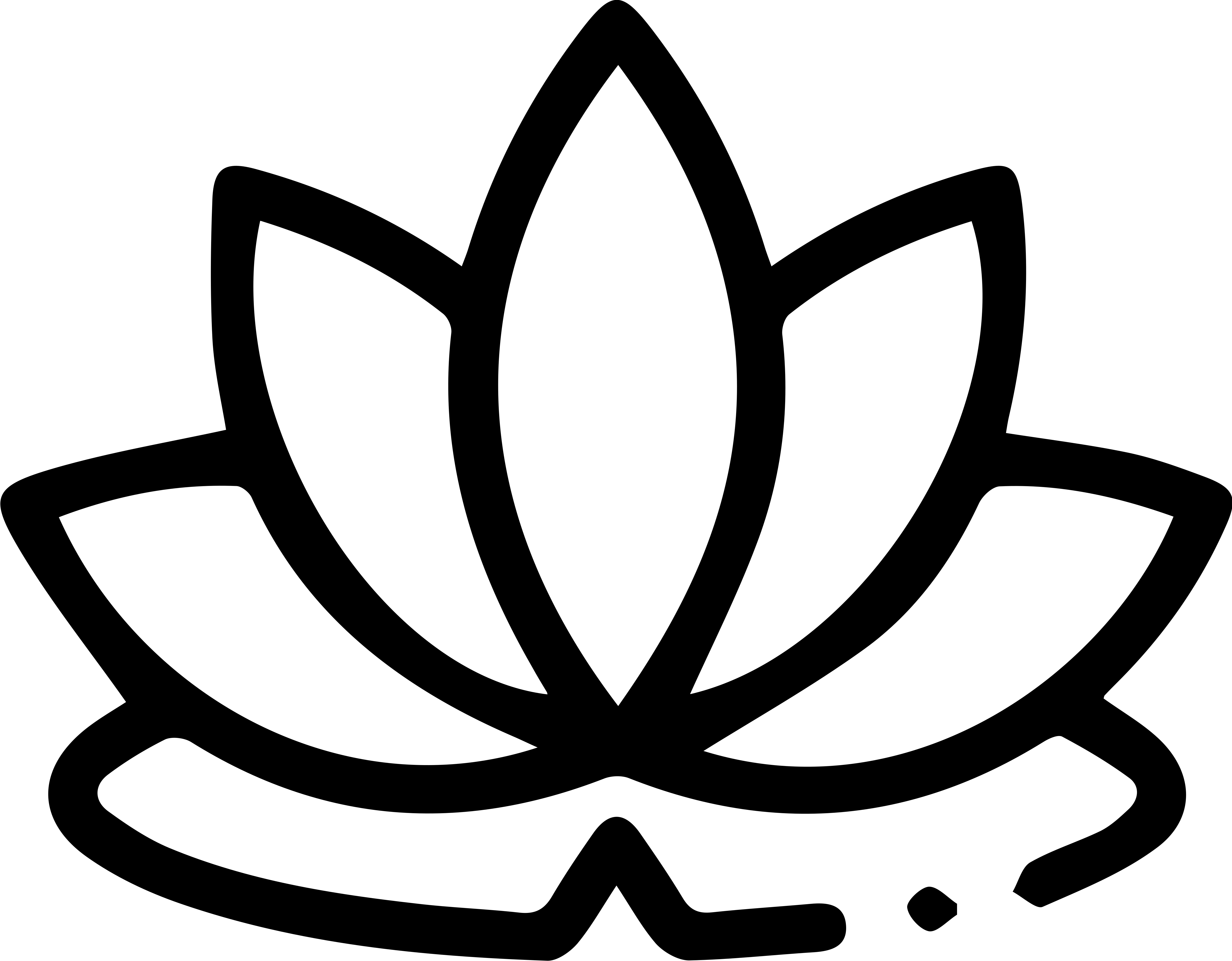 A black screen with a white dollar sign in the center.