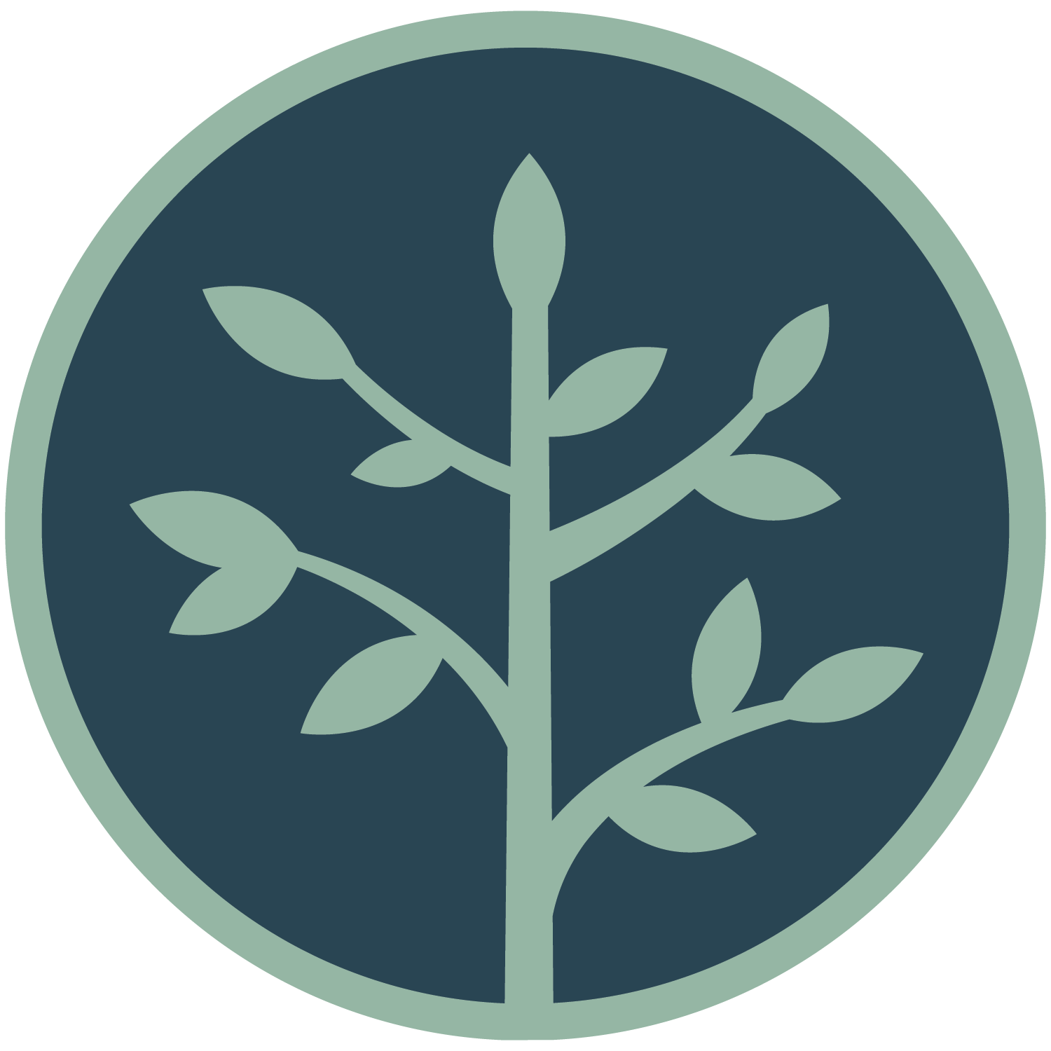 A stylized image of a plant with a circular background.