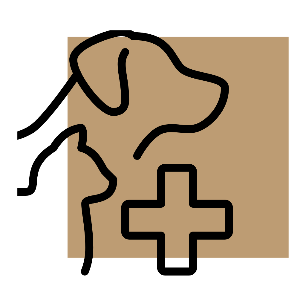 Lewisville, TX Apartments | Heritage Towers | Home