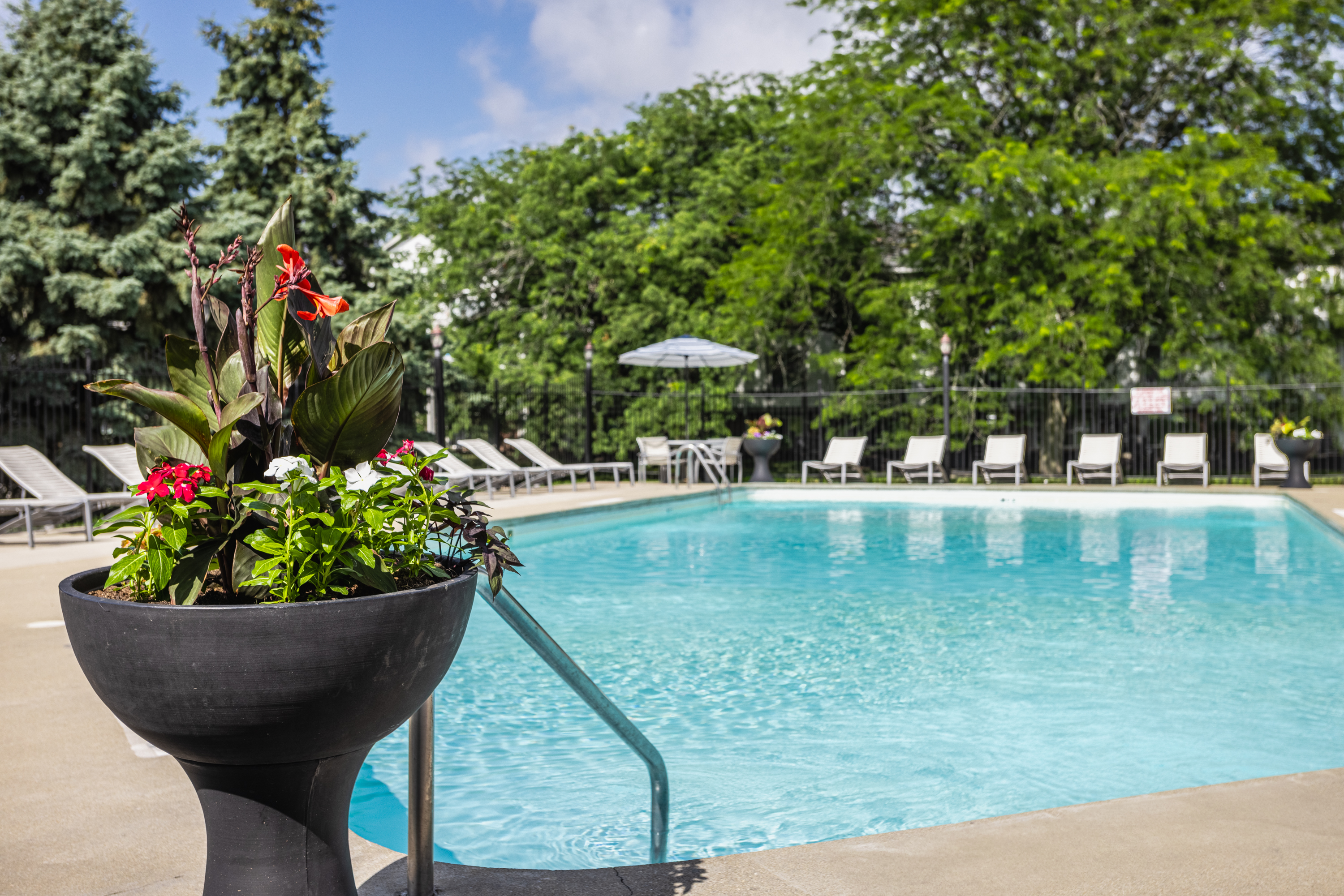 Pool at Bay Pointe Apartments (2 of 8)