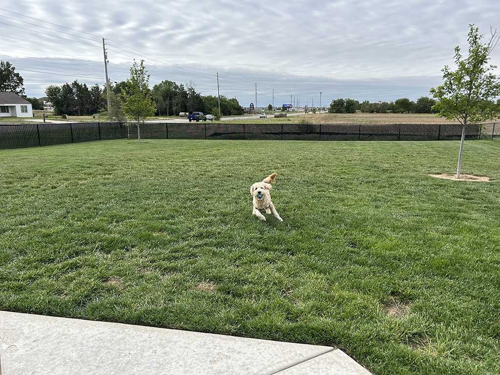 Dog park at Copper Creek Apartment Homes (2 of 2)