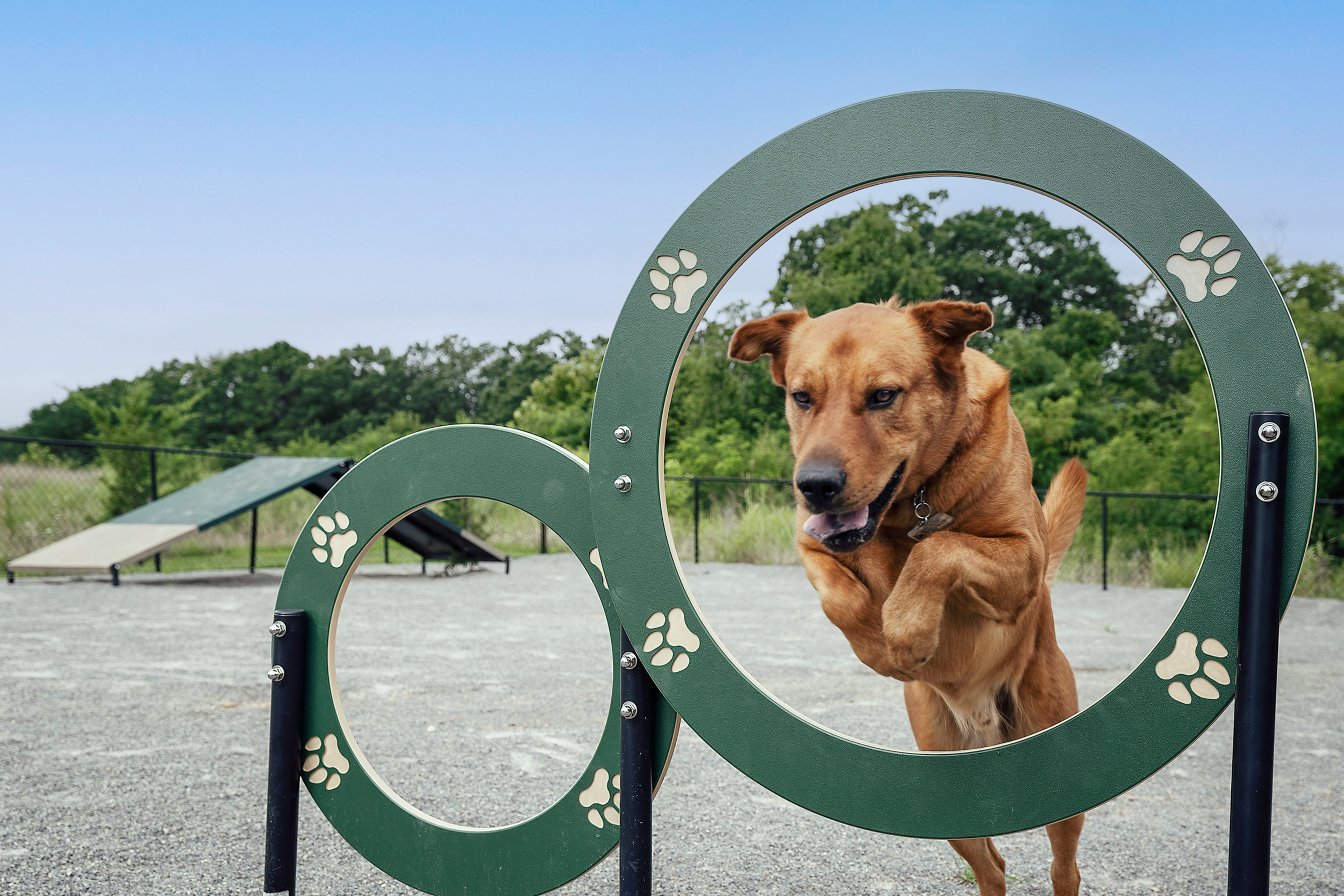 Dog park at The Retreat Apartments