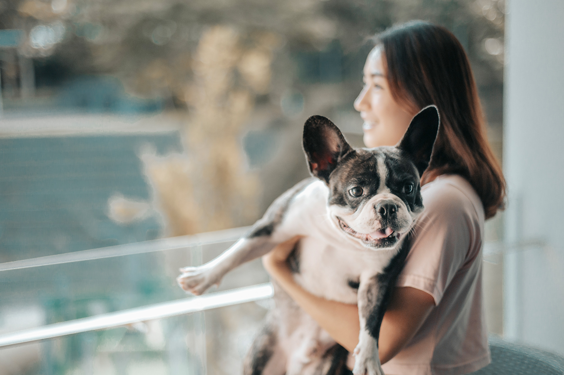 woman holding french bull dog on balcony