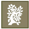 a white tree on a brown background