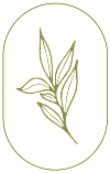 A gold leafy branch is centered in a circle.