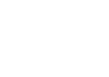 a black and white logo for bluestone properties