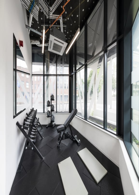 an image of a gym with weights and a row of windows