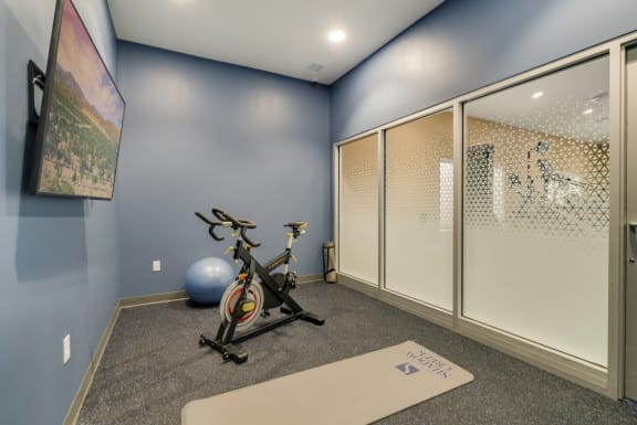a home gym with blue walls and glass doors and a exercise bike