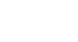 citrus village logo