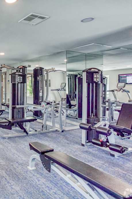 A well-equipped gym with treadmills, weights, and exercise machines.