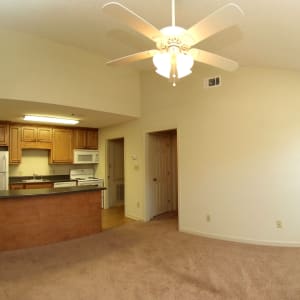 pointe north apartments albany ga