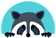 A cartoon image of a raccoon peeking over a blue background.
