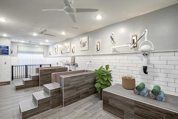 Dog spa at Central Island Square, South Carolina, 29492