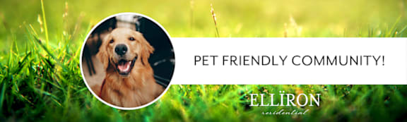 A dog is in a field with the text  at Logan Ridge Apartments, Texas, 78666