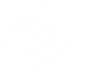 A white silhouette of a palm leaf on a black background.