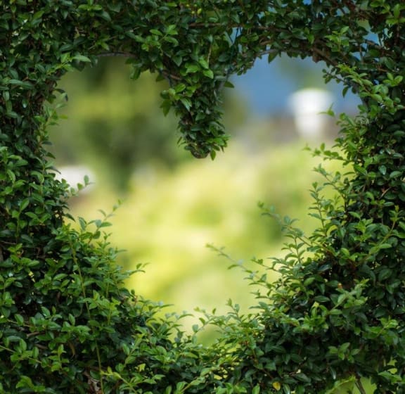 Pleasant Bay Apartments in Kirkland, WA