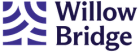 a screenshot of a video game with the word braid on it