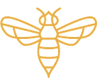 A yellow line drawing of a bee. at The Hive Apartments, Allentown, PA, 18101