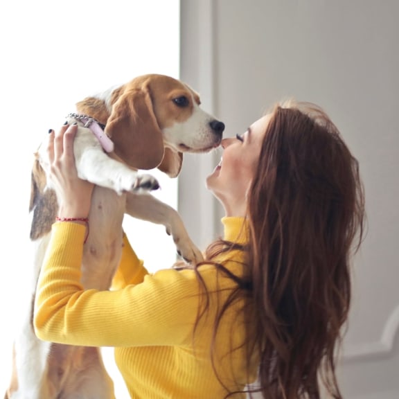 Smiling woman holding dog