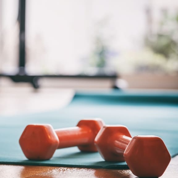 Dumbbells and yoga mat 