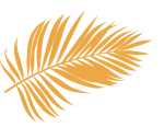 an orange and yellow square with a black border