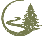 illustration of a winding road with a pine tree in the foreground