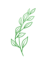 The image is a patterned background with the word "Adobe Stock" repeated in various orientations.