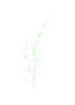 A graphic of green leaves at Mariposa Willows Apartments, Los Angeles