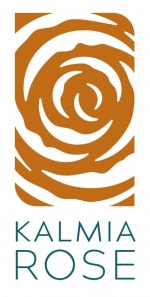 the logo