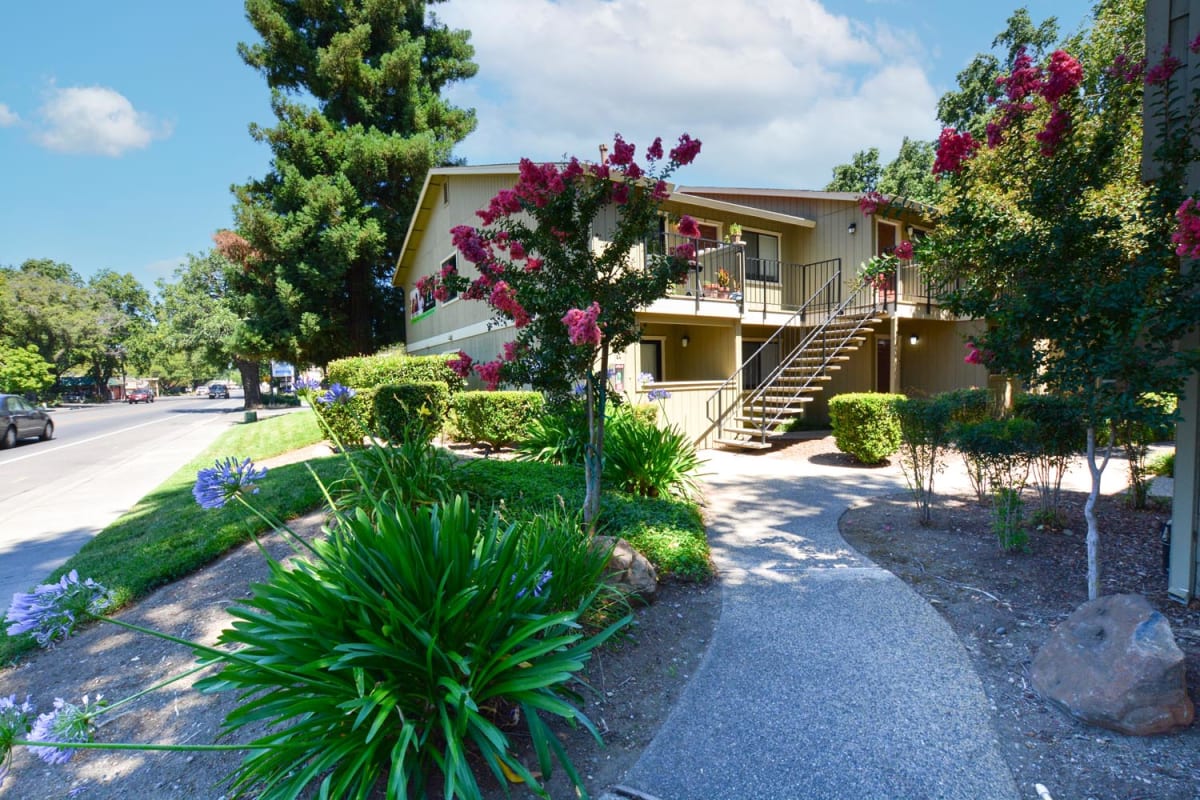 CSULiving Custom Page