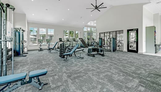 Fitness Center at The Livano Uptown, Thonotosassa, FL, 33592