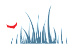 A red object is in front of some blue grass.