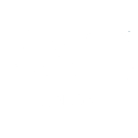 AVE Union Logo