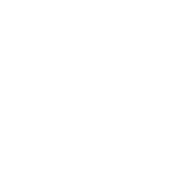 a man walking a dog on a leash icon