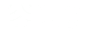 A black and white image of a tire track with the words "Willow Bridge" written above it.