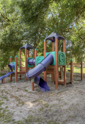 Playground at Reflections in Gainesville, FL