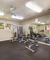 24-Hour Fitness Center at Hunters Chase Apartments in Austin, Texas, TX