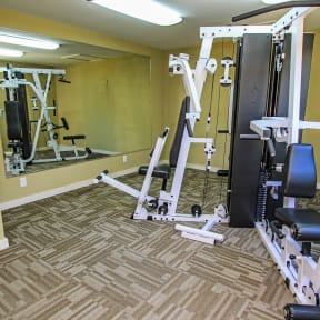 Fitness Center Cable Equipment at Westdale Parke Apartments in Austin, Texas, TX